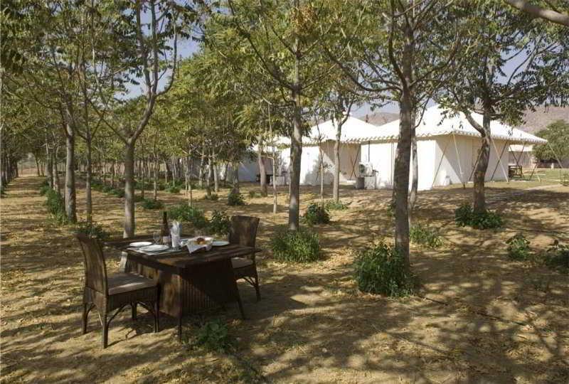 The Greenhouse Resort بوشكار المظهر الخارجي الصورة