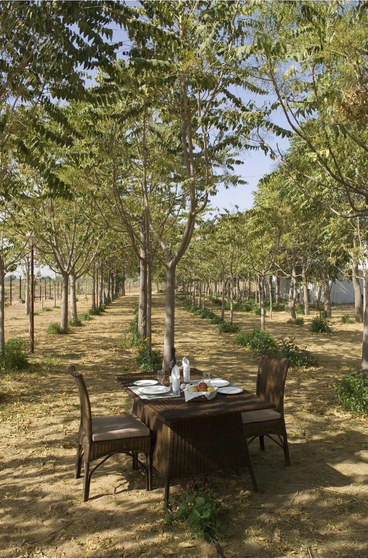 The Greenhouse Resort بوشكار المظهر الخارجي الصورة